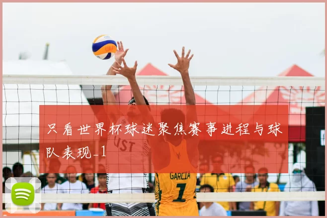 只看世界杯球迷聚焦赛事进程与球队表现_1