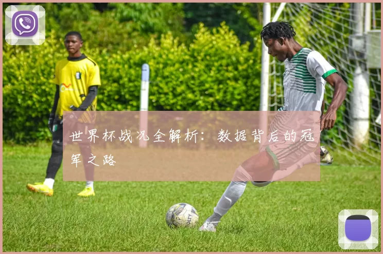 世界杯战况全解析：数据背后的冠军之路