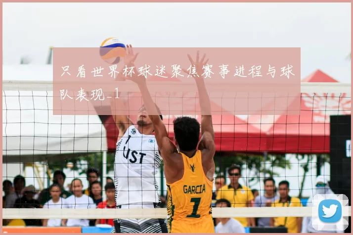 只看世界杯球迷聚焦赛事进程与球队表现_1