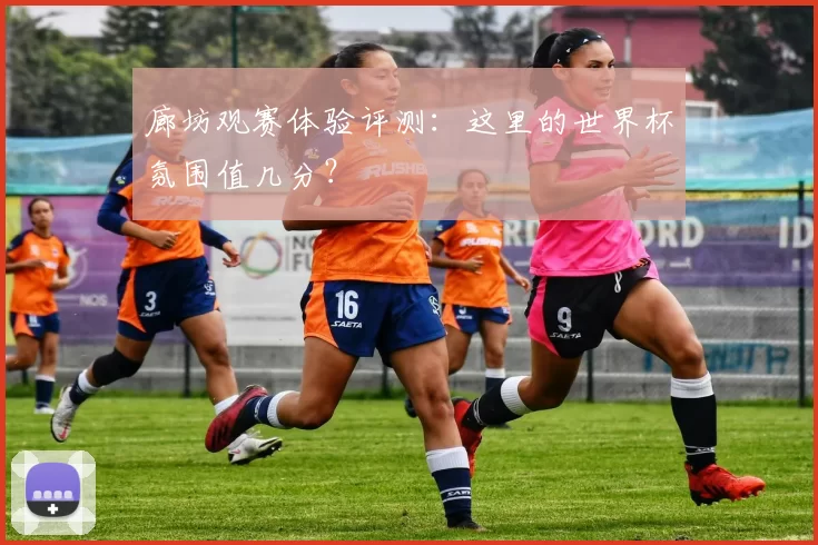 廊坊观赛体验评测：这里的世界杯氛围值几分？