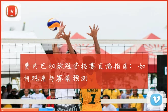 费内巴切欧冠资格赛直播指南：如何观看与赛前预测
