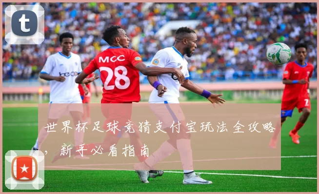 世界杯足球竞猜支付宝玩法全攻略，新手必看指南