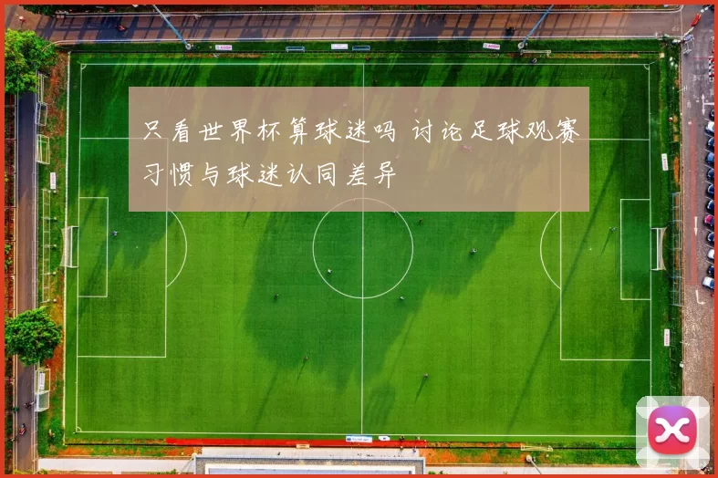 只看世界杯算球迷吗 讨论足球观赛习惯与球迷认同差异