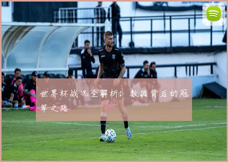 世界杯战况全解析:数据背后的冠军之路