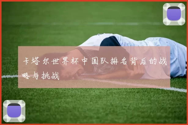 卡塔尔世界杯中国队排名背后的战略与挑战