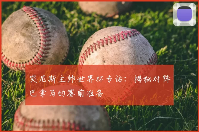突尼斯主帅世界杯专访:揭秘对阵巴拿马的赛前准备