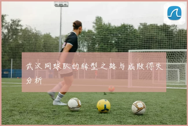 武汉网球队的转型之路与成败得失分析