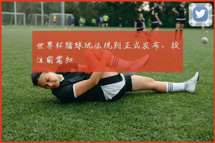 世界杯赌球玩法规则正式发布，投注前需知