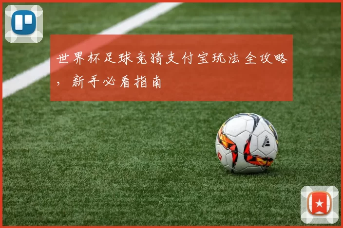 世界杯足球竞猜支付宝玩法全攻略,新手必看指南