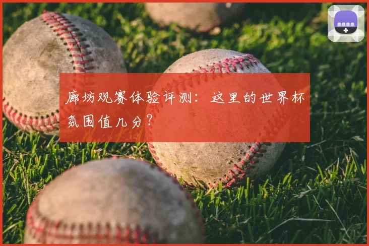 廊坊观赛体验评测：这里的世界杯氛围值几分？