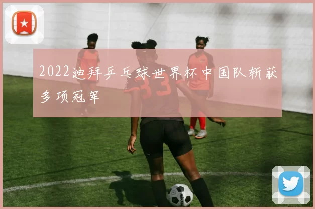 2022迪拜乒乓球世界杯中国队斩获多项冠军
