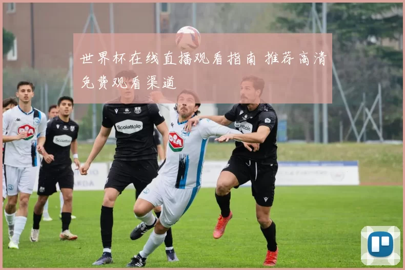 世界杯在线直播观看指南 推荐高清免费观看渠道