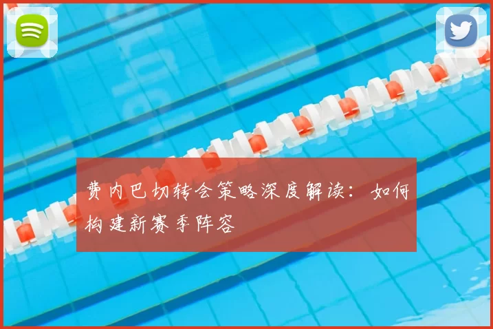 费内巴切转会策略深度解读：如何构建新赛季阵容